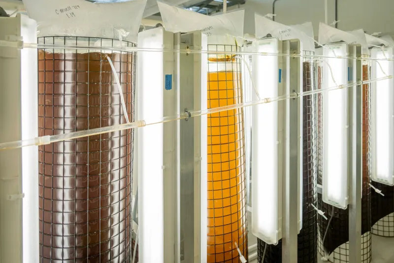 Aria, acqua e fermentazione: gli elementi naturali che plasmano la cosmesi artigianale italiana