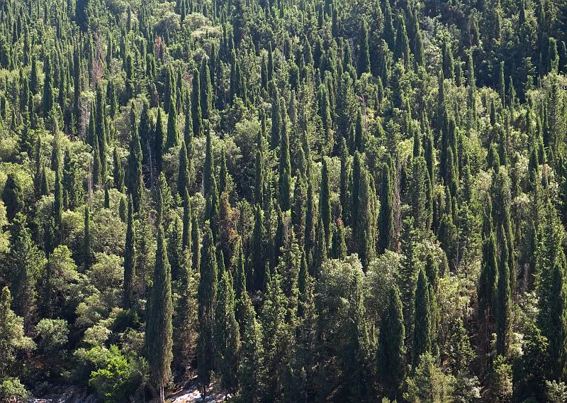 Biodiversità mediterranea e longevità cutanea: il patrimonio naturale che l'Italia porta sulla pelle